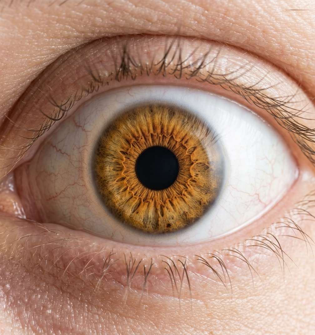 Macro close-up of a human eye with an amber iris
